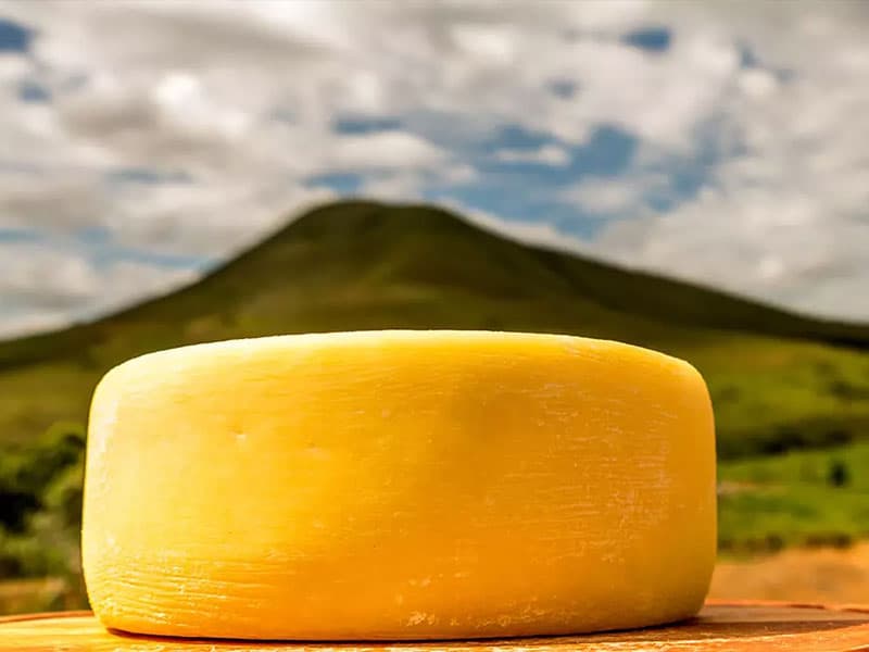 Segredos para armazenar queijos e manter o sabor intacto