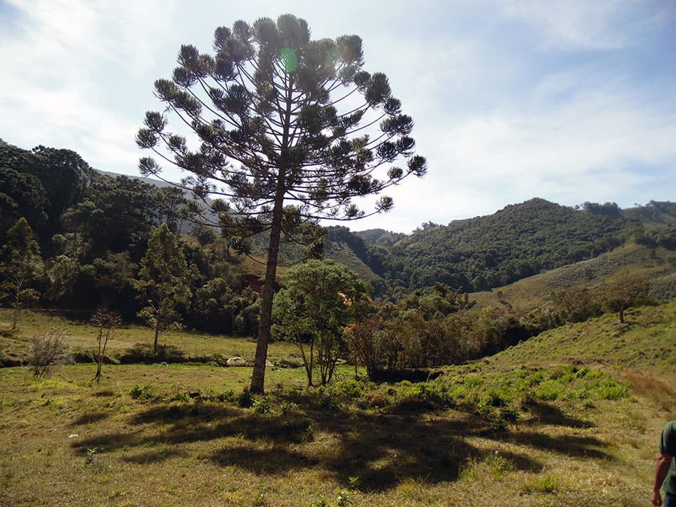 Conheça Alagoa